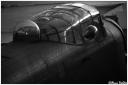 s_dx0402_1_11bw.jpg