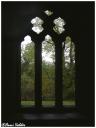 zs_wales02_6_20.jpg