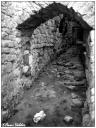 zs_ys0310_5_02bw.jpg