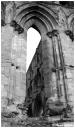zz_ys0310_4_07bw.jpg