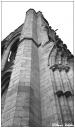 zz_ys0310_4_09bw.jpg