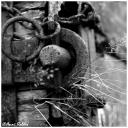 as_c7502bw.jpg