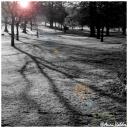 as_stan0404_c013.jpg