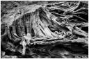 s_jul00_7_26bw.jpg