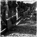 as_1206bw.jpg