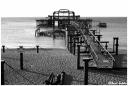 s_8237bw.jpg